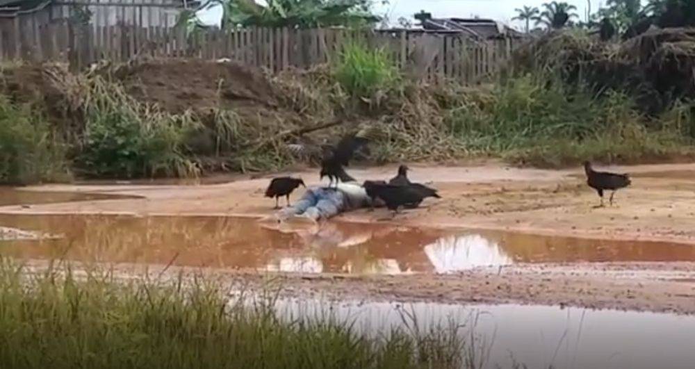 MACABRO: vídeo mostra corpo de foragido que estuprou garota em RO e foi morto em Mato Grosso sendo devorado por urubus