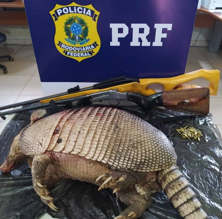 VÍDEO: PRF prende dois na BR 364, ao encontrar armas ilegais e tatu morto dentro de veículo