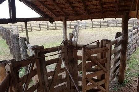 Sitiante de 73 anos sobrevive, após ataque de foice do neto e tiro disparado pela nora na zona rural de Cabixi