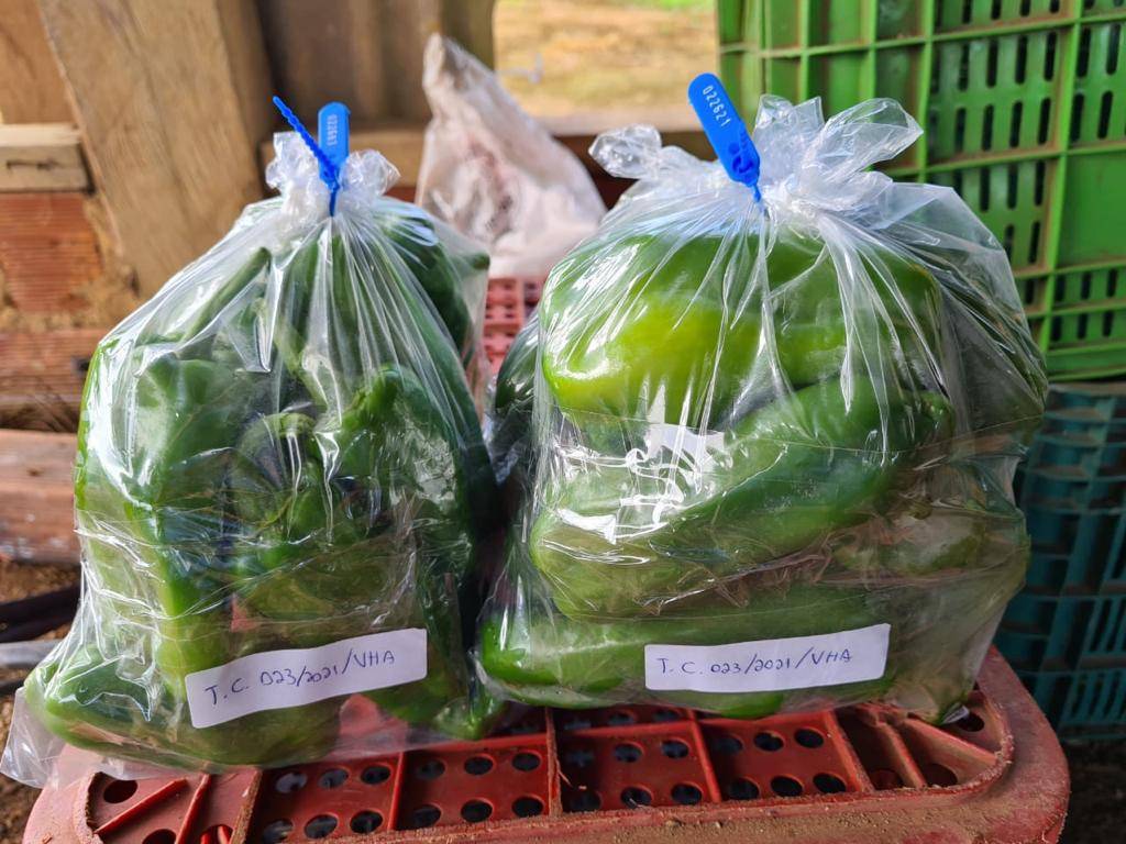 Após denúncias de agrotóxicos contrabandeados em Vilhena, Idaron encontra frutas e legumes com altos índices de veneno