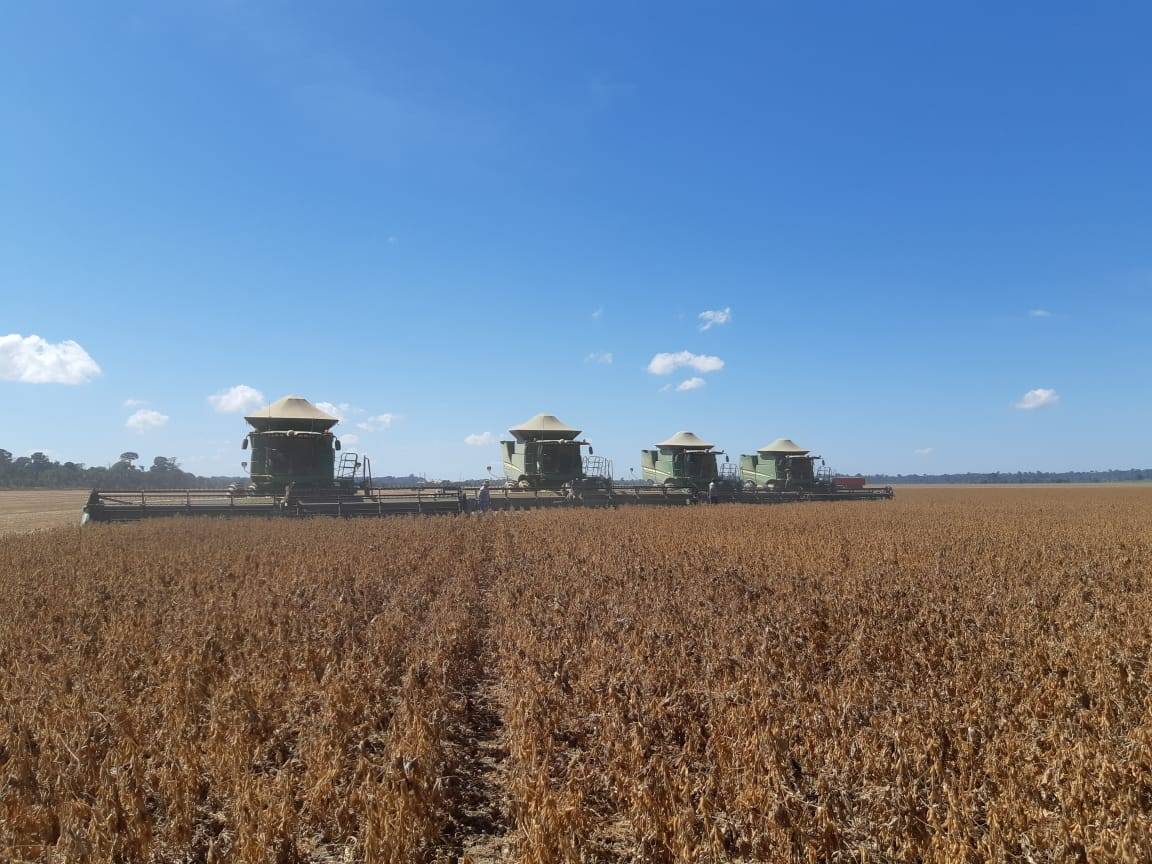 Município de Corumbiara passa Vilhena e é o maior produtor de soja de Rondônia; Cone Sul plantou 223 mil hectares do grão em 2021