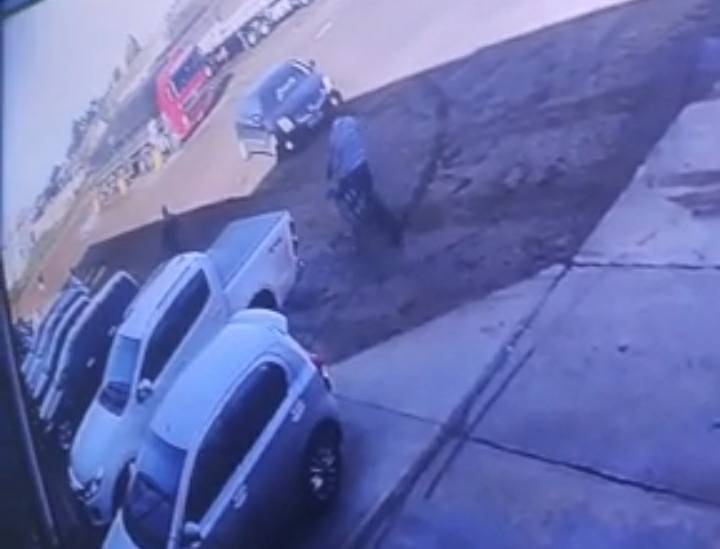 ASSISTA VÍDEO: câmeras de monitoramento flagram ladrão furtando bicicleta de funcionário em empresa