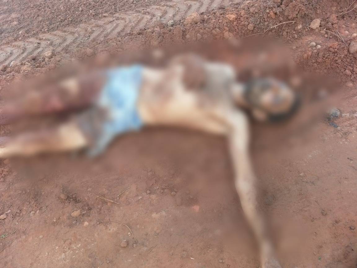 Corpo com sinais de violência é encontrado jogado próximo a rodovia; homem não identificado usava tornozeleira