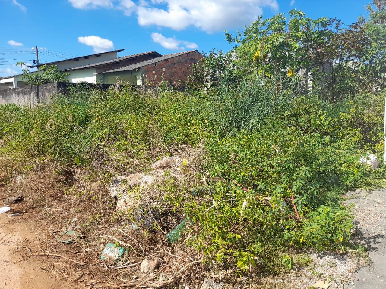 Moradores denunciam terreno abandonado que virou “lixão”; dona é servidora da Saúde e será notificada