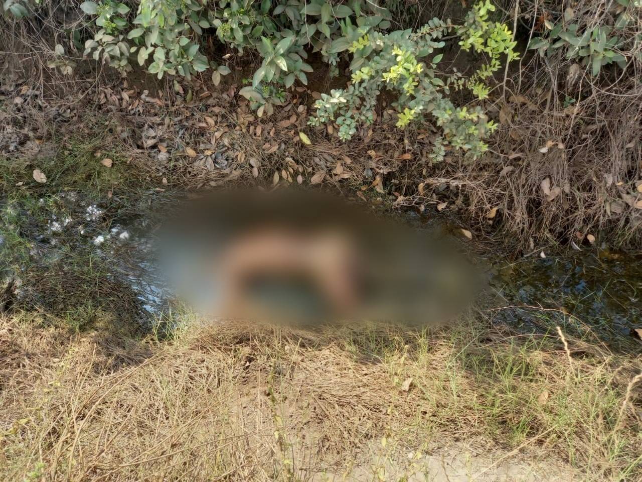 Corpo de homem é encontrado na área rural de Cerejeiras; marcas de violência indicam possível assassinato