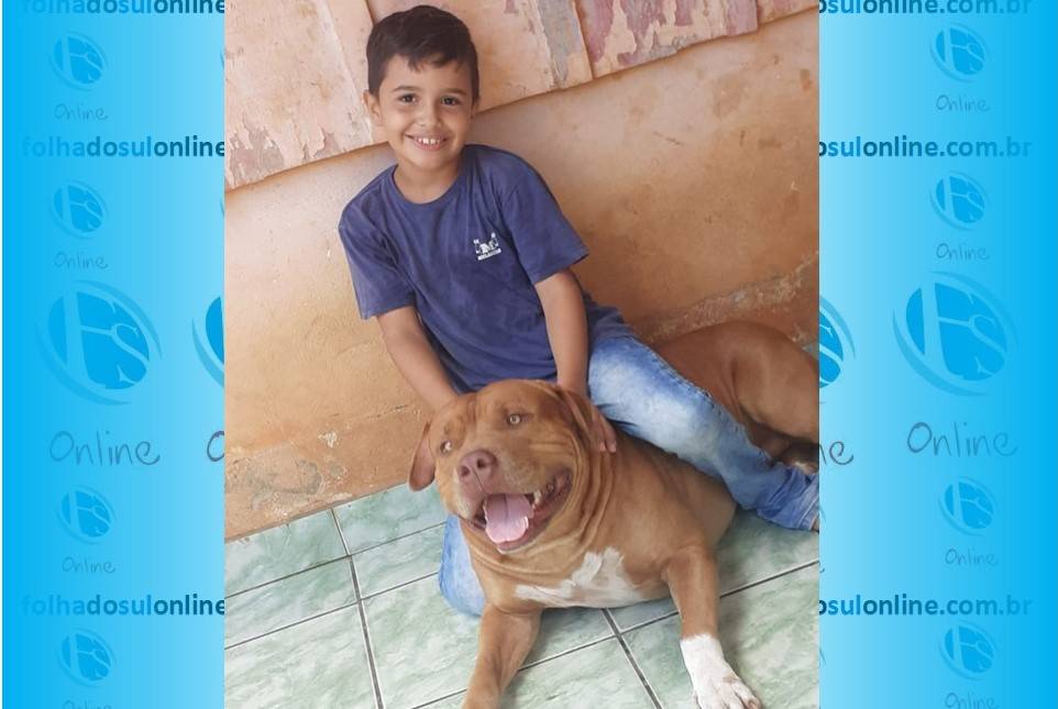 EXCLUSIVO: mãe de garoto de 08 anos atacado por pit bull em Cacoal fala sobre o caso após ser insultada nas redes sociais