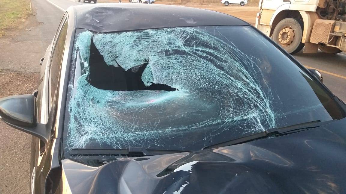 Mulher que morreu atropelada na BR 364, em Vilhena, foi identificada: era servidora do Instituto do Rim