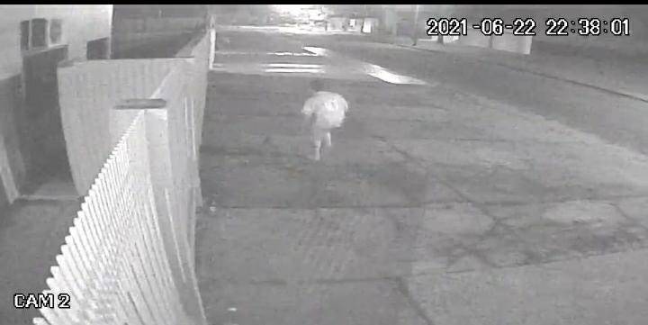 ASSISTA O VANDALISMO: vídeo flagra rapazes destruindo relógios de água em bairro de Vilhena