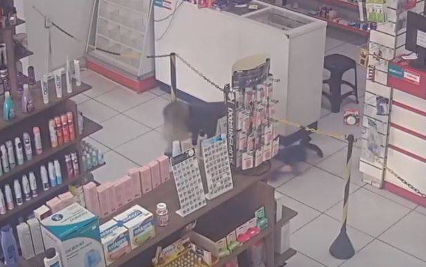 CHOCANTE: vídeo mostra empresária engatinhando em farmácia após ser baleada pelo namorado; tragédia abalou Mato Grosso