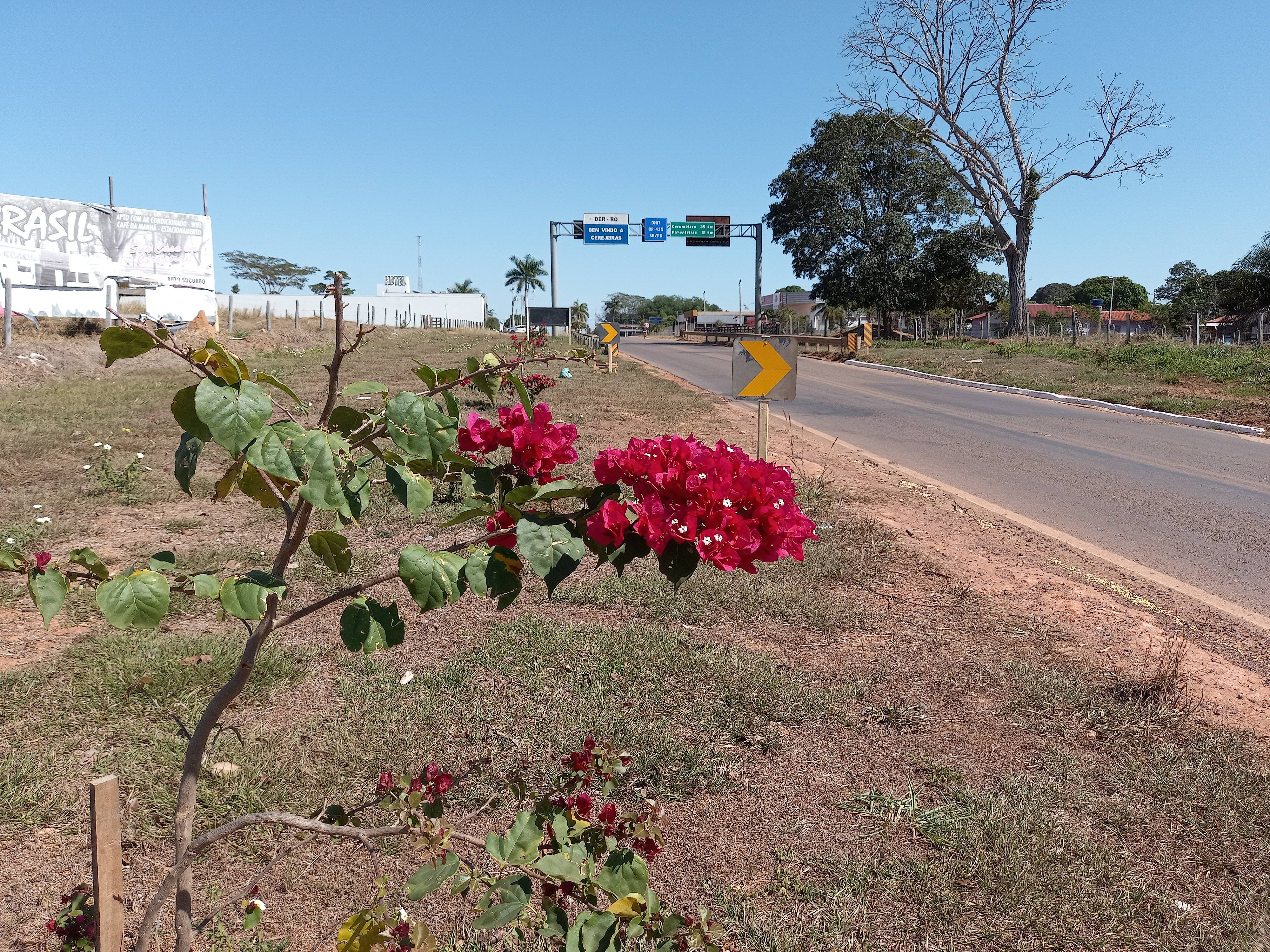 De paisagismo a portal com letreiro na entrada da cidade, prefeitura investe em obras para melhorar estética urbana em Cerejeiras