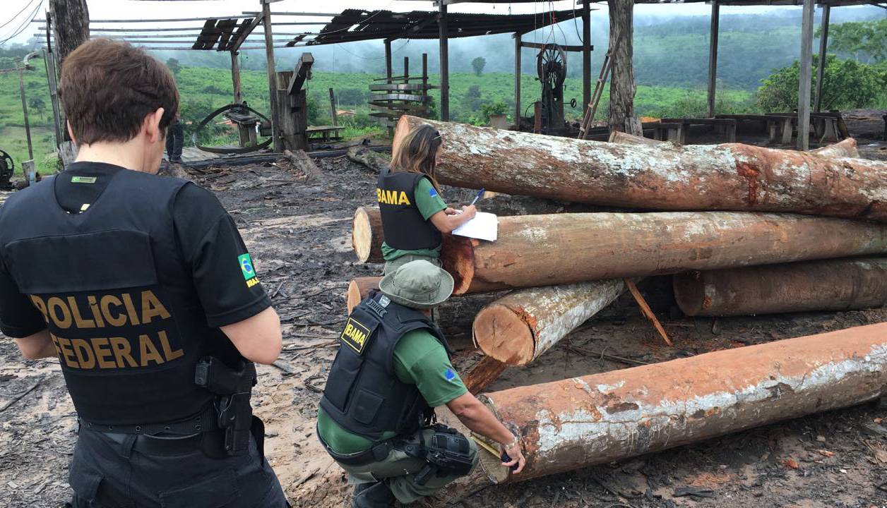 Homem que se alimentava apenas de palmito entrega criminosos ambientais em Chupinguaia e PF deve entrar no caso