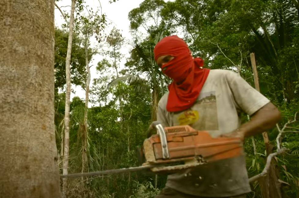 ASSISTA VÍDEO: após reportagem sobre venda de florestas através do Facebook, PF de Rondônia deflagra operação