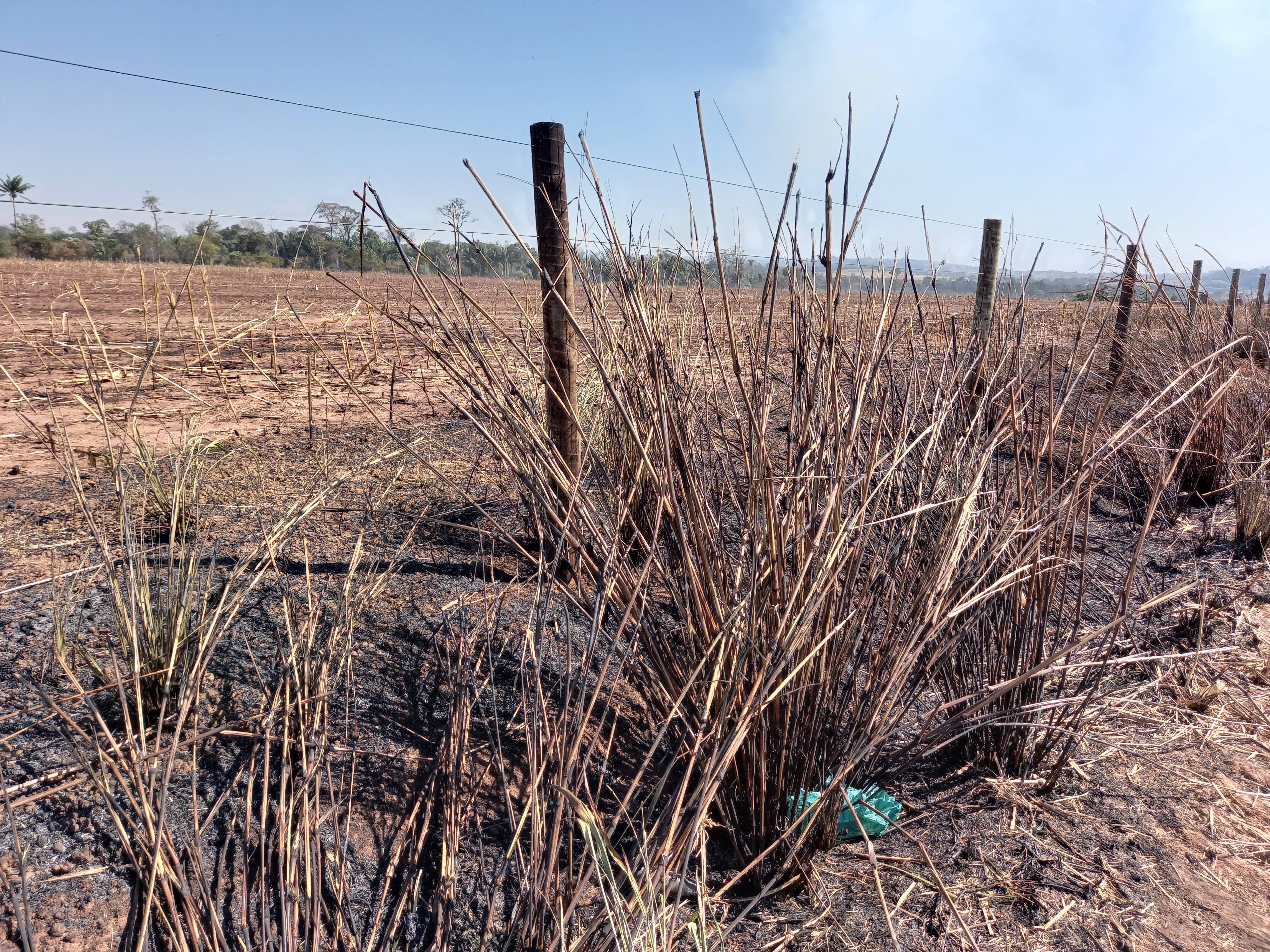 Com máquinas agrícolas consumidas pelas chamas e queima de pastos e lavouras, aumentam ocorrências de incêndios na região de Cerejeiras