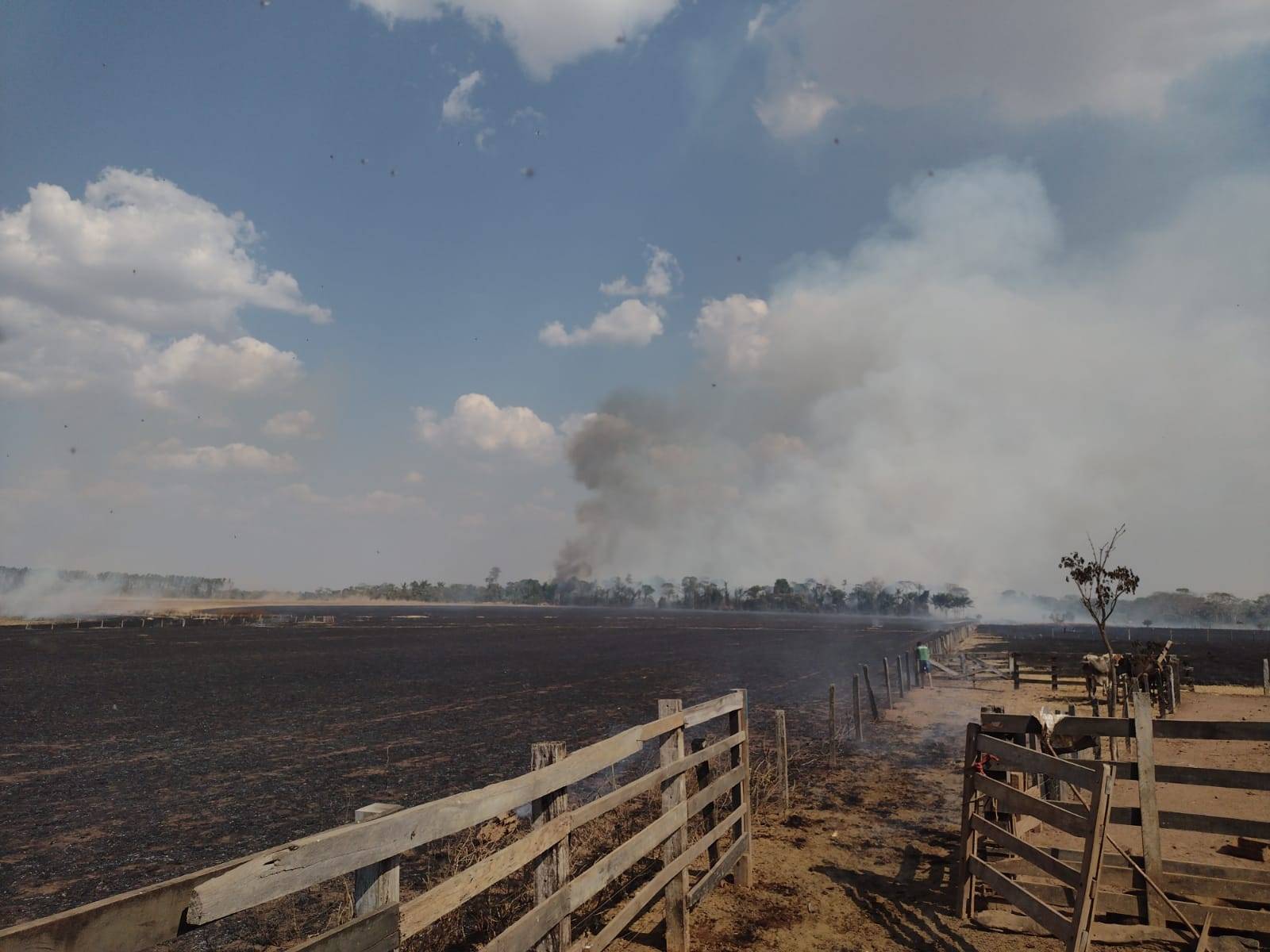 ASSISTA VÍDEO: fogo provoca destruição e quase atinge casa em propriedade rural de Cerejeiras