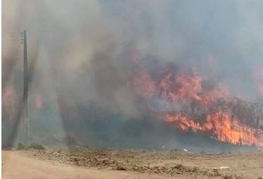 VÍDEO: incêndio ameaça casas em bairros de Vilhena e pastora evangélica com bronquite asmática grava áudio pedindo ajuda