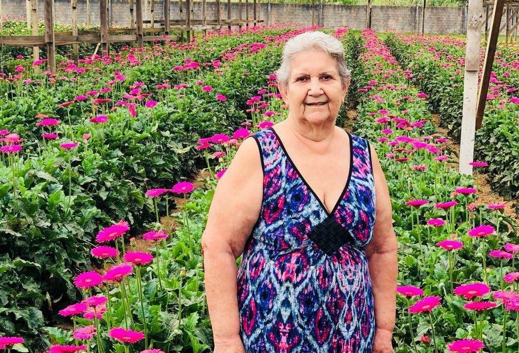 Se recuperando de cirurgia, empresária pioneira de Vilhena sofre parada cardíaca e morre aos 70 anos, em Curitiba
