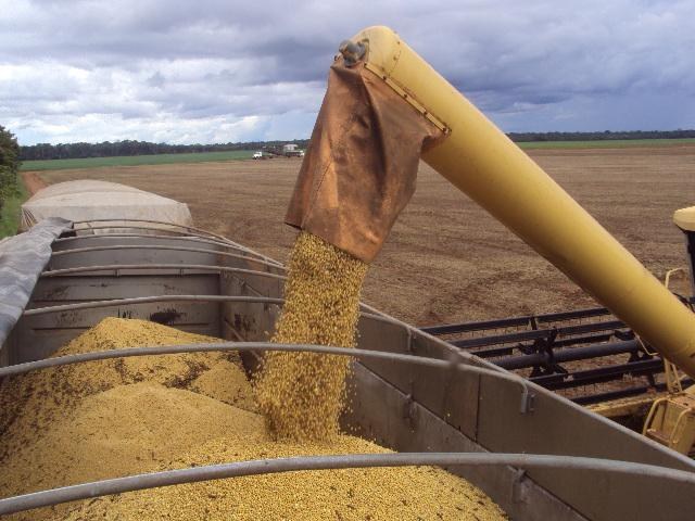 Embrapa Soja exclui Rondônia de 65 dias de campo que acontecem até março