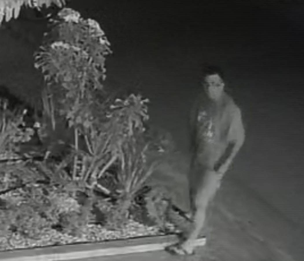 ASSISTA VÍDEO: câmeras de monitoramento flagram homem furtando plantas no jardim de comerciante, em Vilhena