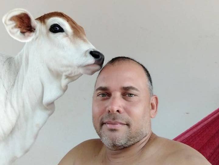 Abandonada pela mãe, bezerra é criada na mamadeira por ex-prefeito e “gosta” de ser fotografada com adultos e crianças em Corumbiara