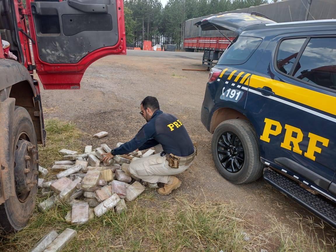 PRF apreende, em Vilhena, quase 300 kg de maconha colombiana modificada geneticamente; dois cuiabanos foram presos