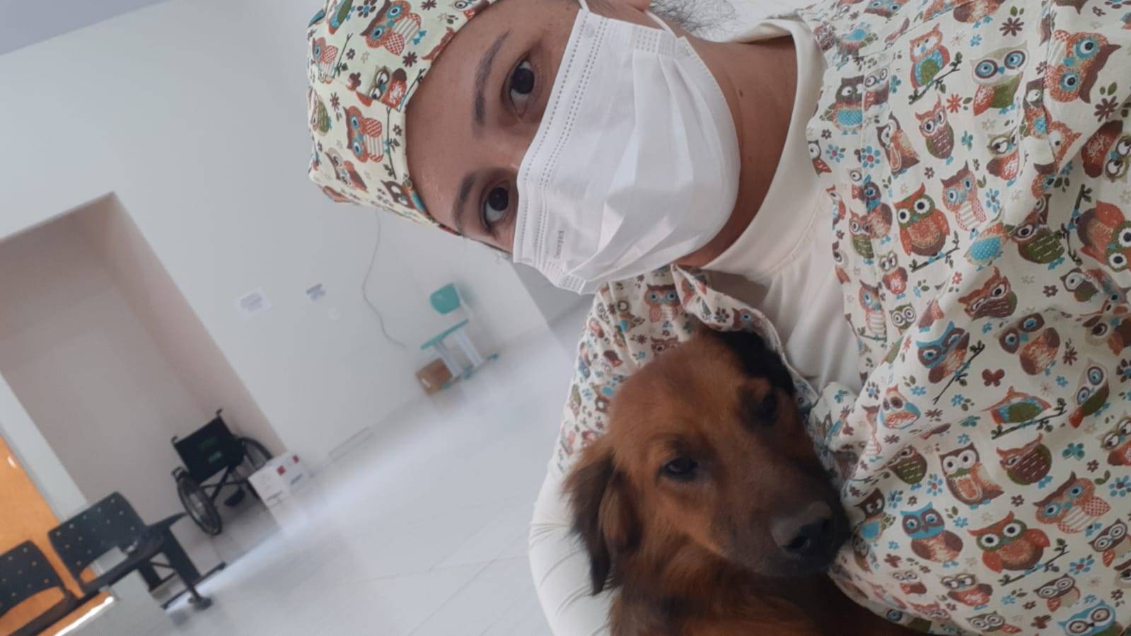 “Covidinho”: cãozinho que está há mais de 20 dias “esperando” em hospital pode pertencer a morto por Coronavírus