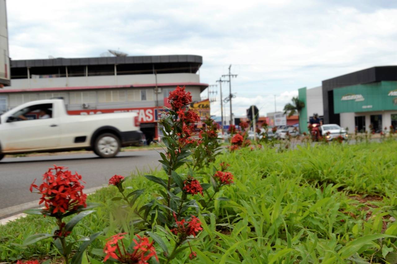 Após furto de plantas que embelezariam a cidade, secretário faz apelo: “se você vir alguém furtando, chame a atenção, denuncie”