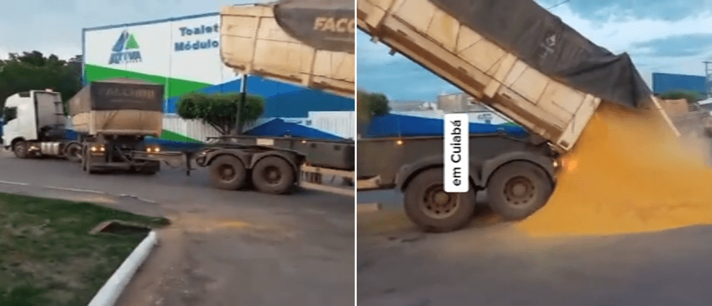 ASSISTA: viraliza vídeo de caminhoneiro despejando carga de grãos na frente de empresa em MT após esperar por 5 dias