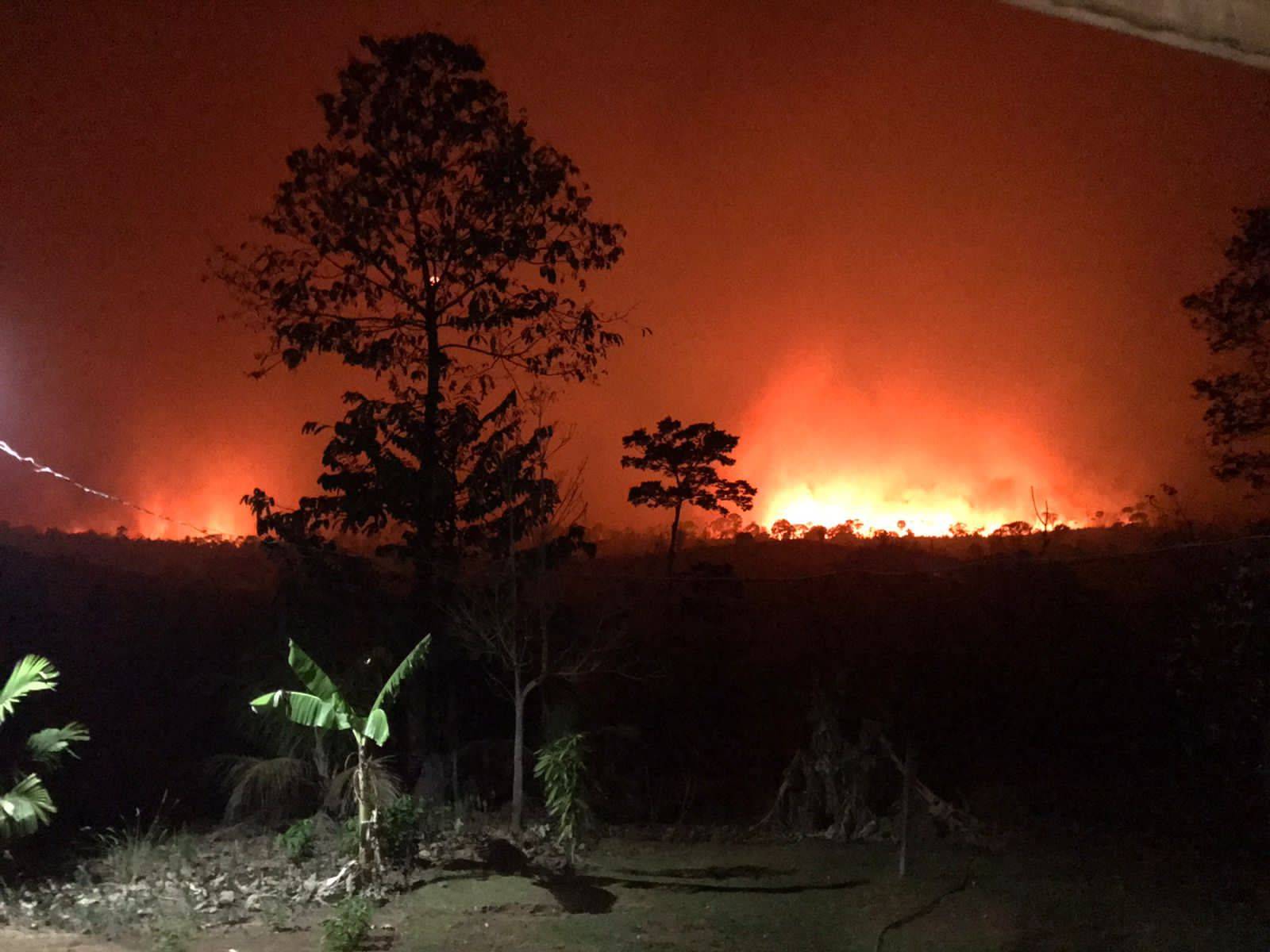 Polícia Federal prende o principal suspeito do incêndio de grandes proporções que destruiu parte de reserva em Rondônia