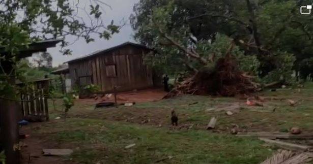 VEJA VÍDEO: câmeras de monitoramento em sítio de Cerejeiras captam “tufão” que arrancou árvores e destelhou casa no município