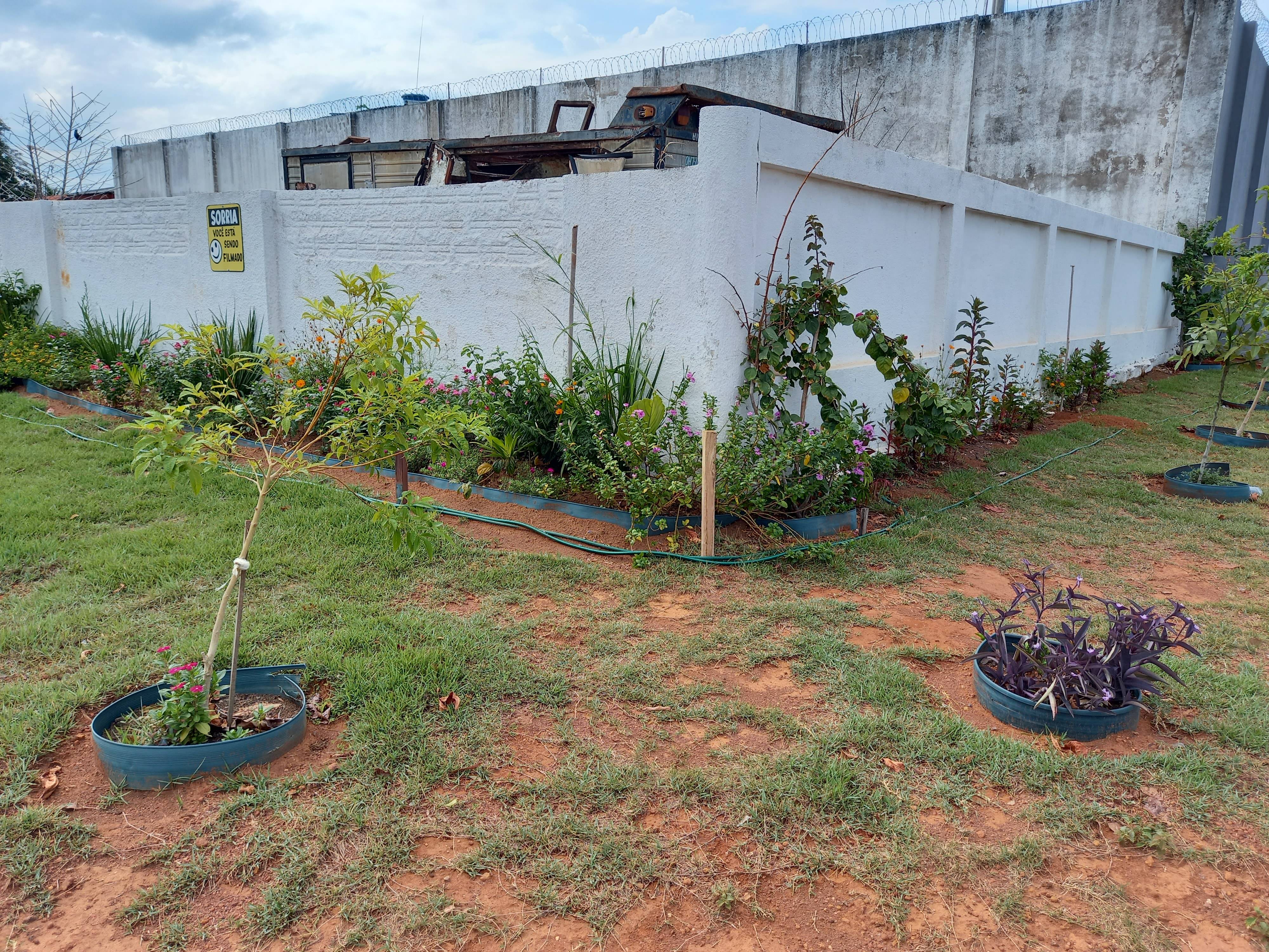 VEJA FOTOS: após plantar jardim em frente muro de delegacia e presídio, voluntários instalam placas criativas em Cerejeiras