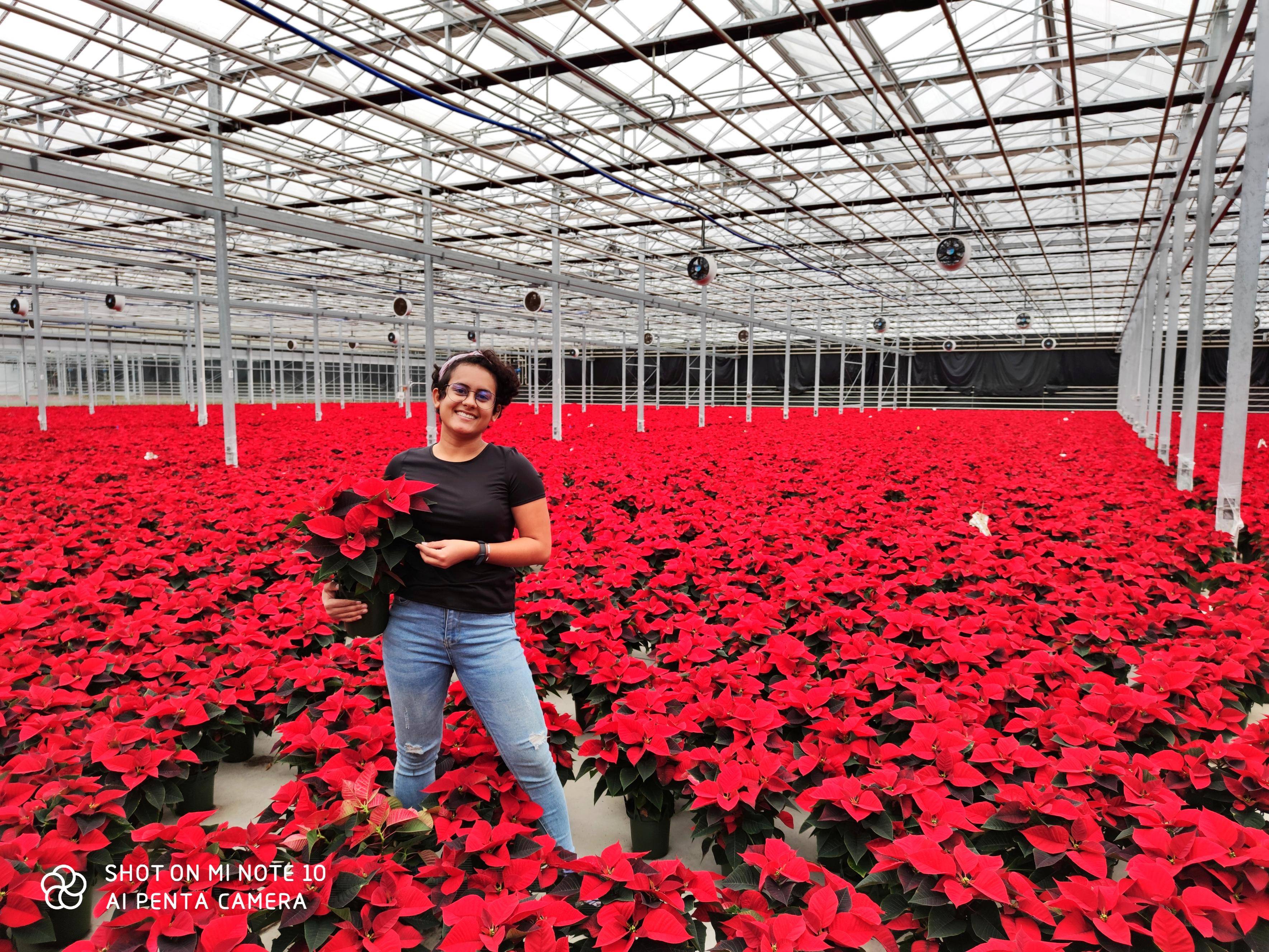Conheça a história da jovem de Cerejeiras que trabalha com plantas ornamentais na Holanda e foi aprovada para mestrado nos Estados Unidos
