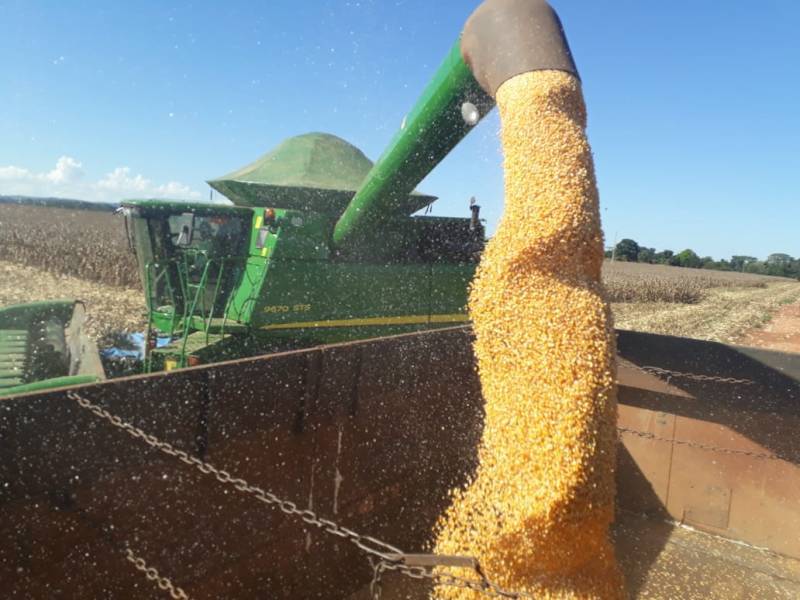 Com área plantada 18,3% maior, Rondônia deve colher safra recorde de soja; previsão é de 1,6 milhão de toneladas