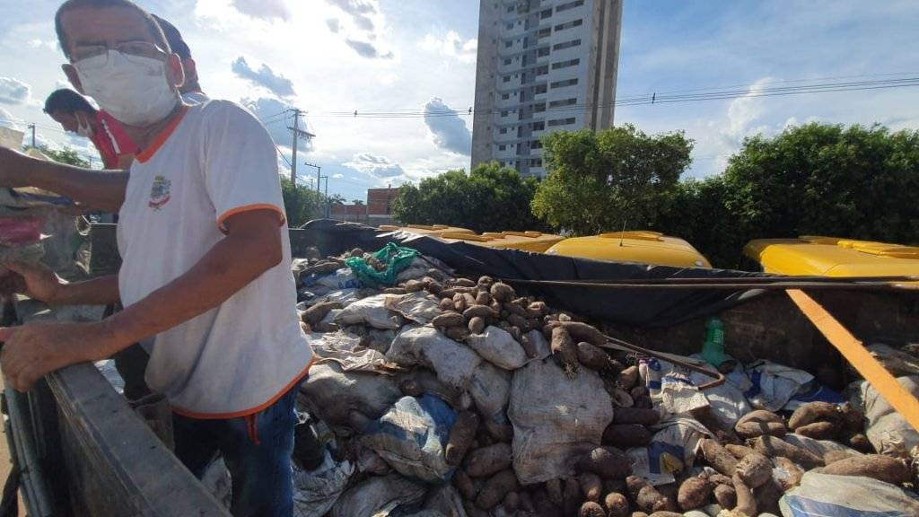 Carga de inhame usada para “camuflar” 350 kg de cocaína é doada para merenda escolar em MT; casal de Pimenta Bueno foi preso