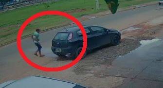 ASSISTA VÍDEO: ladrão que furtou carro com cachorrinhas a bordo é preso após ser filmado atacando também loja de baterias