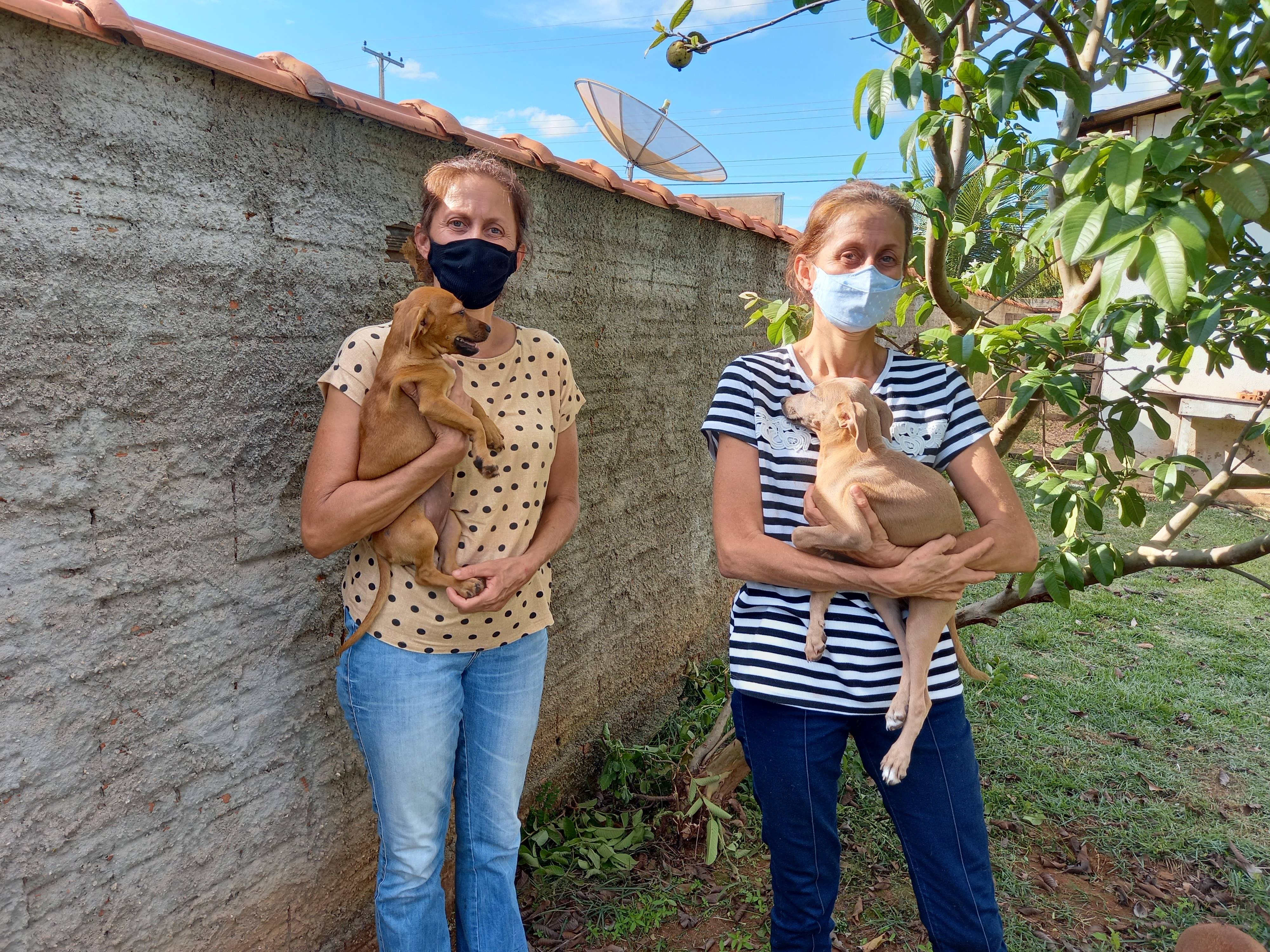 Ativistas da causa animal, irmãs gêmeas lançam campanha de doações para castração pública de cães e gatos em Cerejeiras