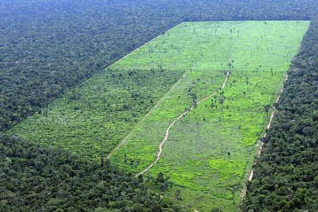 Dados do Imazon revelam que Rondônia lidera desmatamentos na Amazônia
