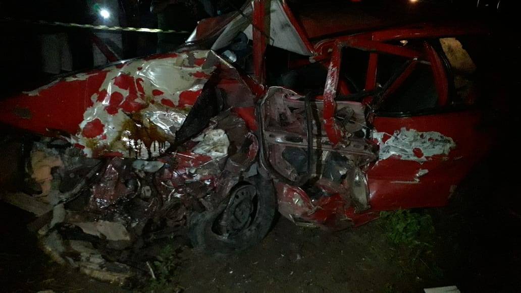 URGENTE: cachorros na pista da BR 364 provocam acidente; motorista de Cerejeiras resgatou feridos, um deles em estado gravíssimo