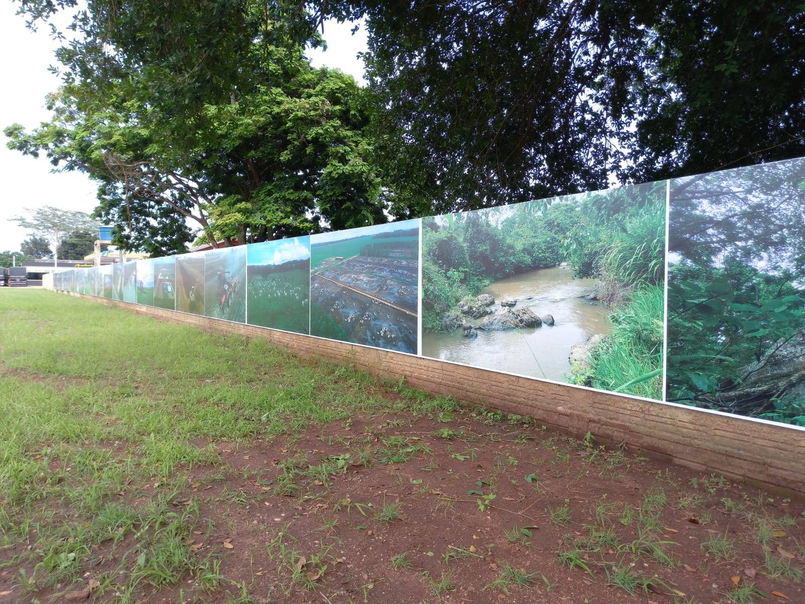 Agronegócio e Figueira Gigante são destaques em painel de fotos instalado pela prefeitura na entrada da cidade em Cerejeiras