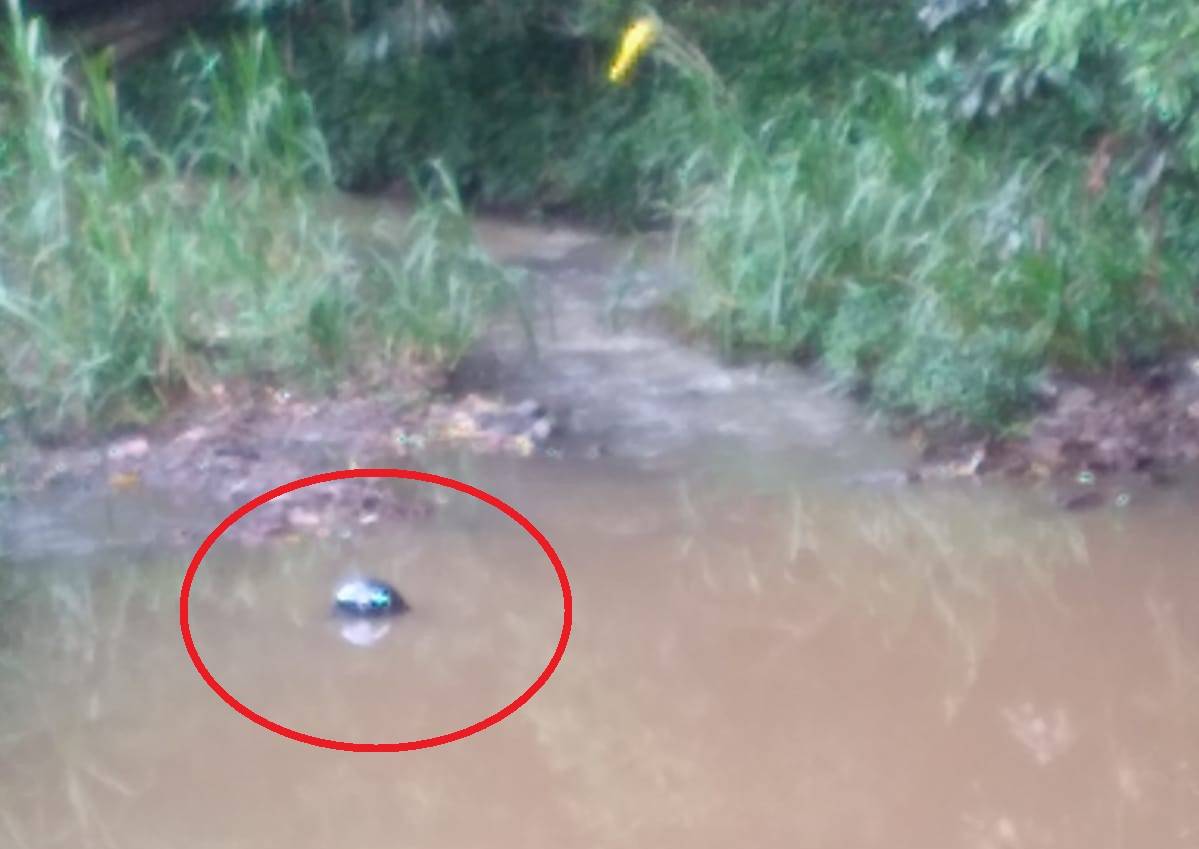 IMPRESSIONANTE: servidor público de Colorado do Oeste sobrevive após cair de ponte de 9 metros e bater a cabeça em pedra