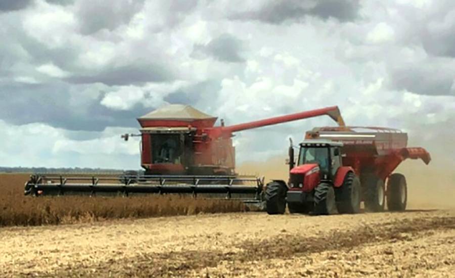 Mato Grosso tem 35 dos 100 municípios mais ricos do agronegócio; nenhum de RO aparece na lista do Ministério da Agricultura