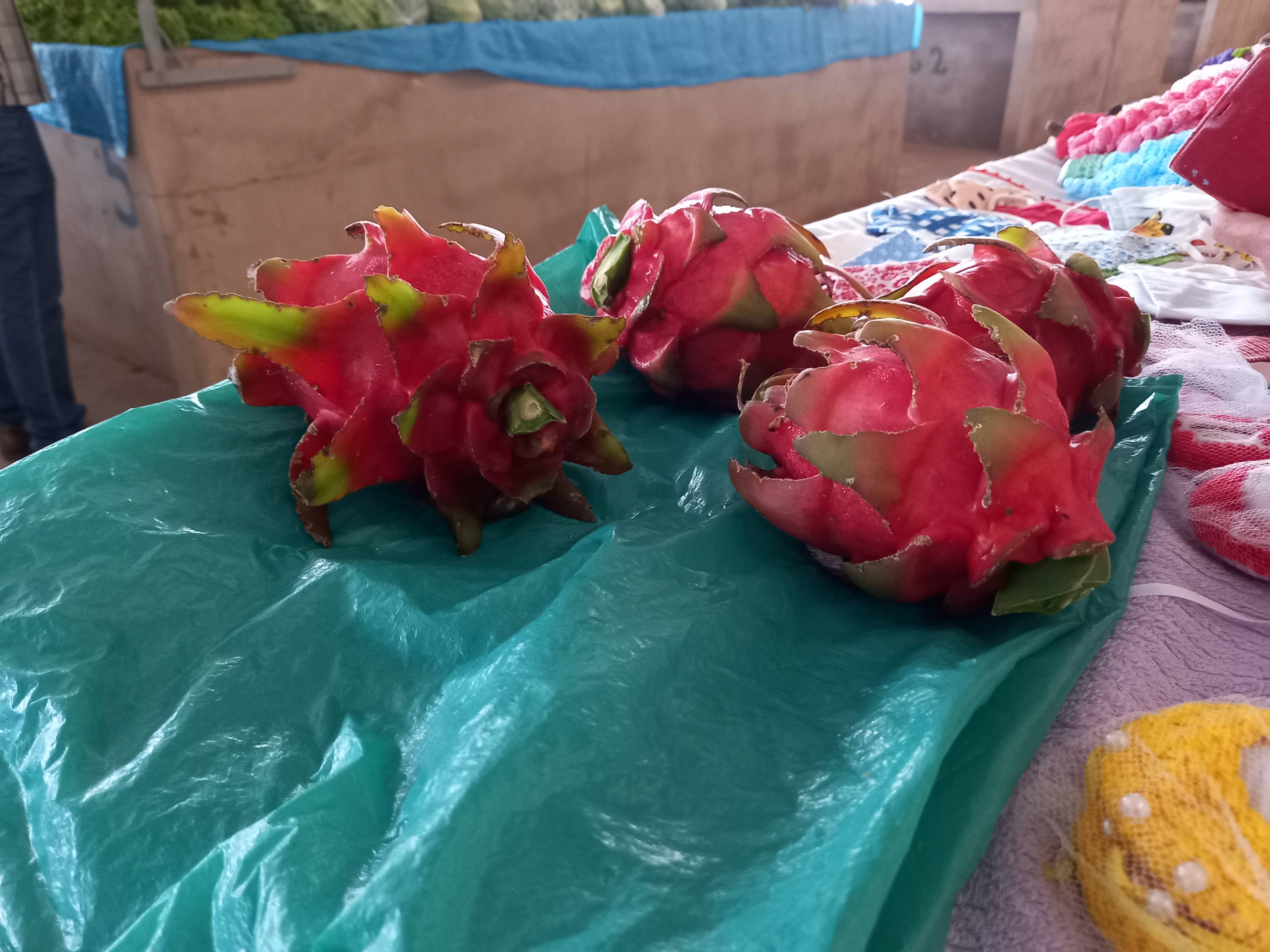 Saborosa e tida como medicinal, fruta exótica ganha simpatizantes e é usada até para atenuar sintomas da Covid em Cerejeiras
