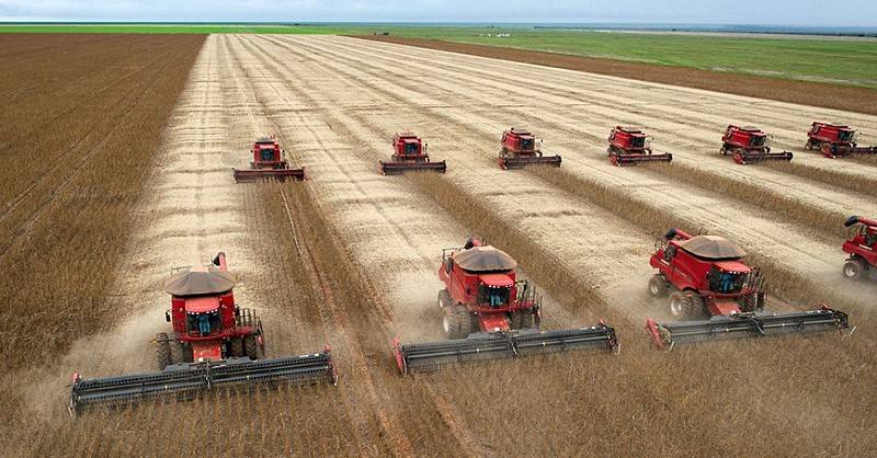 Barões da soja de MT movem ações bilionárias contra multinacionais do agro e colocam produtores de Rondônia na briga