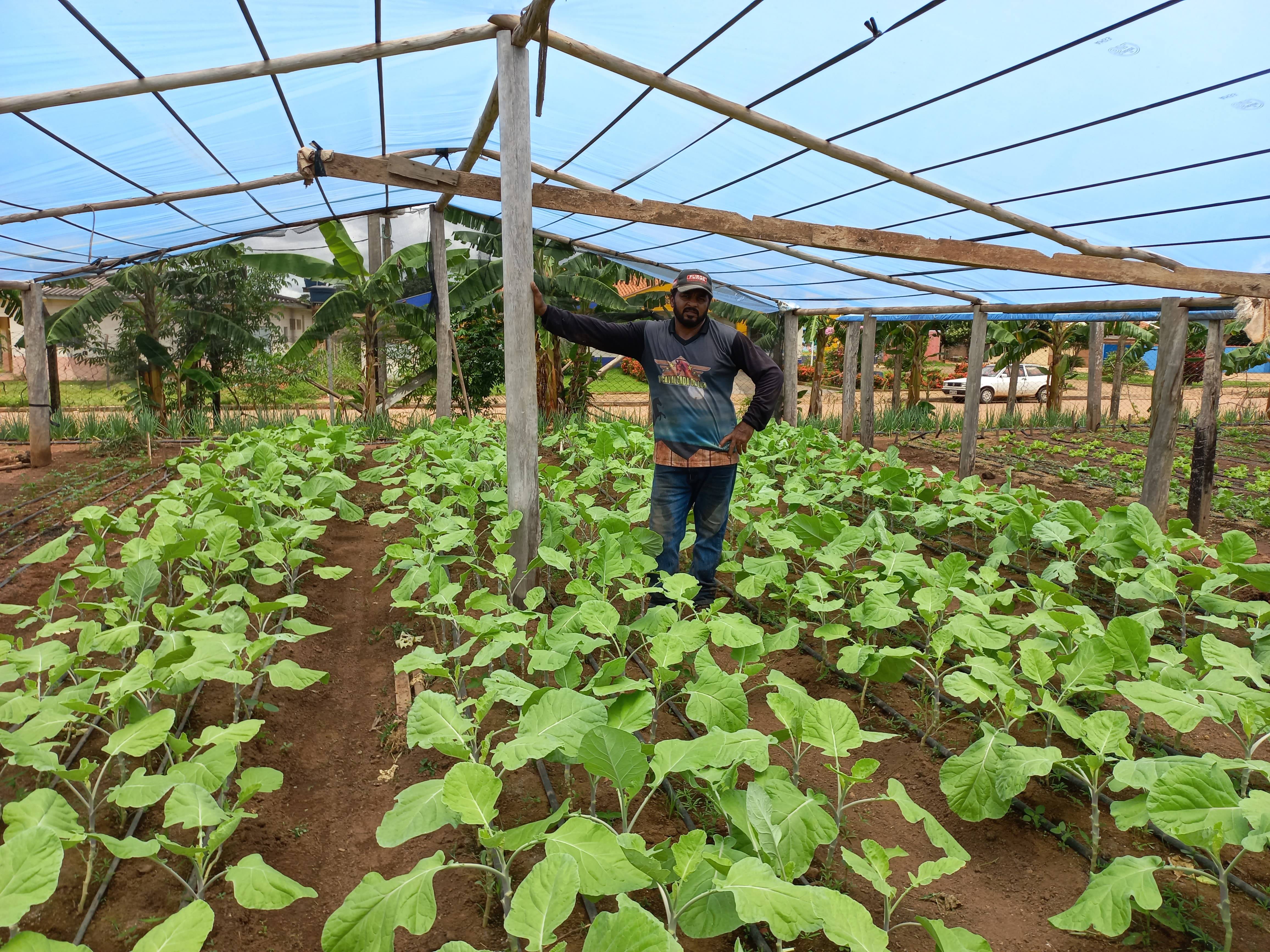 No coração da cidade, agricultor cultiva horta orgânica em Cerejeiras e diz que gosta do que faz: “é o melhor serviço que existe”