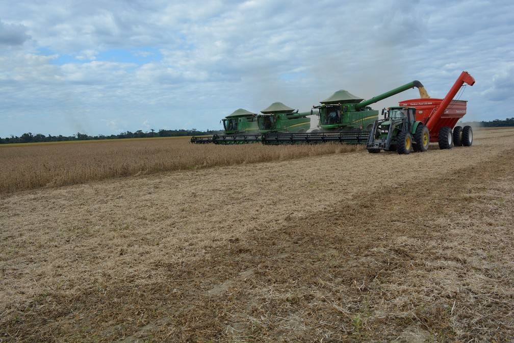 Com problemas climáticos, Rondônia colheu até agora apenas 15% de seus 403 mil hectares plantados de soja