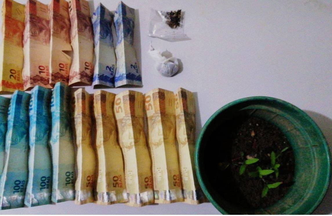 Polícia flagra adolescentes com maconha e prende homem cultivando pés da erva em casa, após denúncia de cunhado