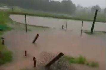 ASSISTA VÍDEO: viúva denuncia que serviço mal feito pelo DER destruiu sua criação de peixes na área rural de Vilhena