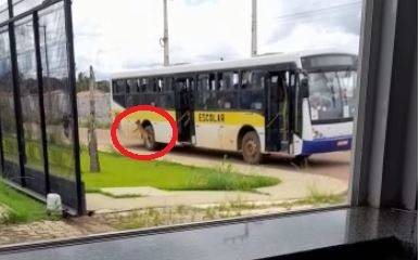 ASSISTA: viraliza no WhatsApp vídeo que mostra cãozinho sendo atirado de dentro de ônibus escolar, em Vilhena