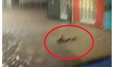 ASSISTA VÍDEO: temporal causa alagamentos em várias regiões de Vilhena e moto é vista “boiando” em avenida