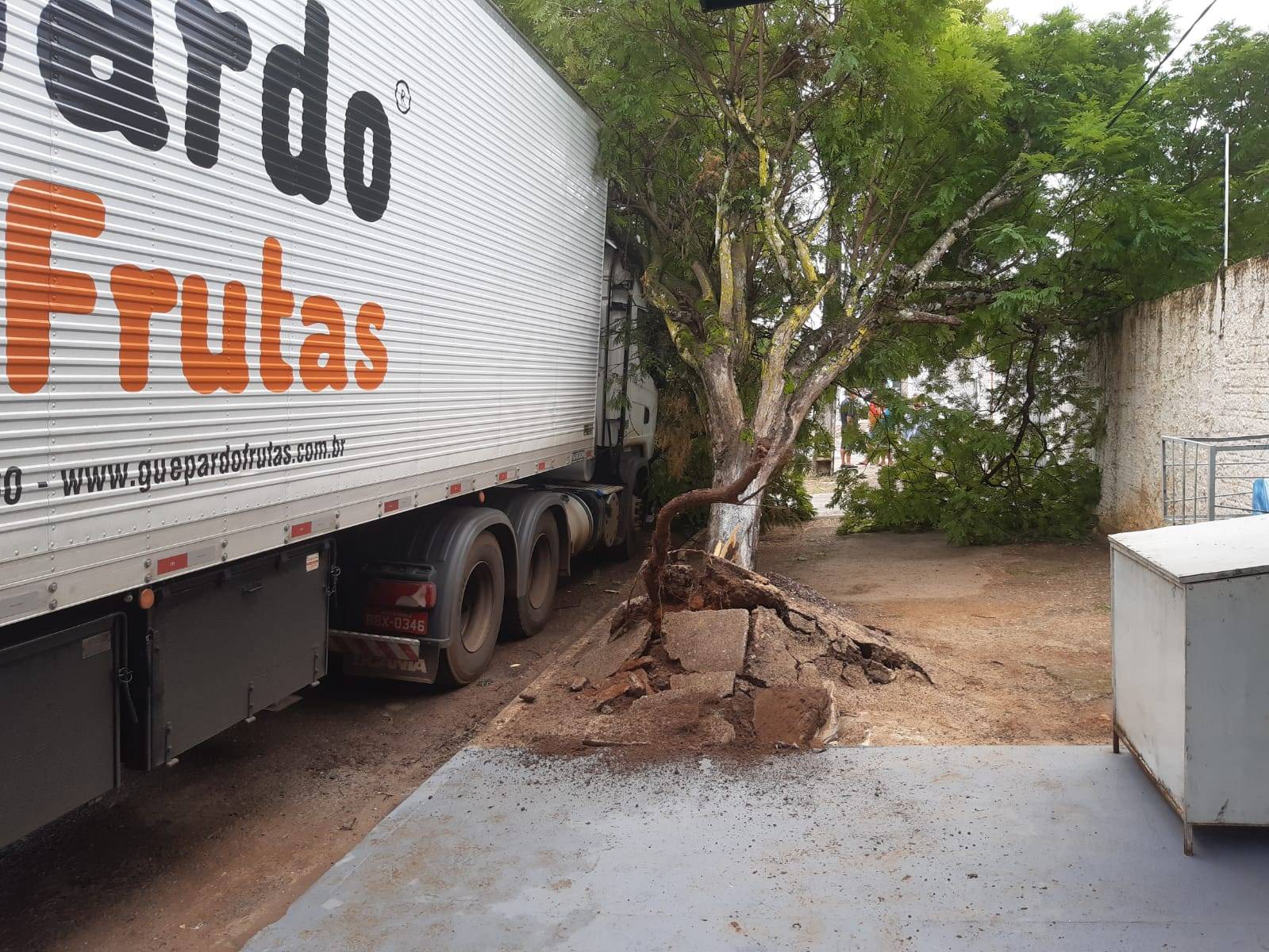 Carreta atinge árvore em avenida movimentada de Vilhena, mobilizando Bombeiros, polícia, Semosp e Energisa