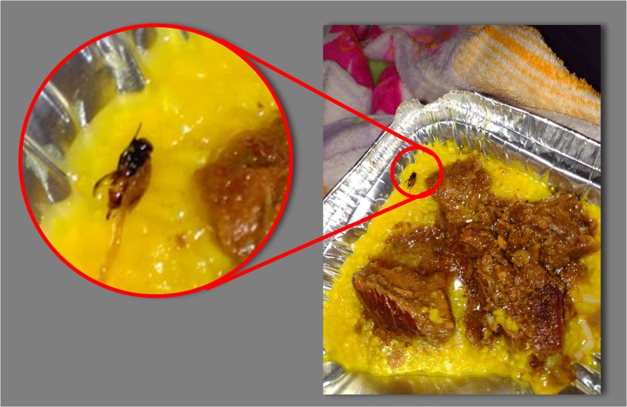 Mulher que teve bebê no Hospital Regional de Vilhena denuncia grosseria de médico e tira foto de mosca na comida